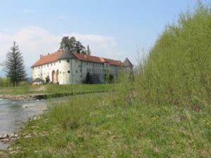 Grad Vrbovec je dobil ime po vrbovju, ki je raslo ob sotočju Drete in Savinje